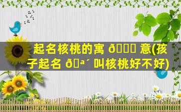 起名核桃的寓 🐘 意(孩子起名 🪴 叫核桃好不好)